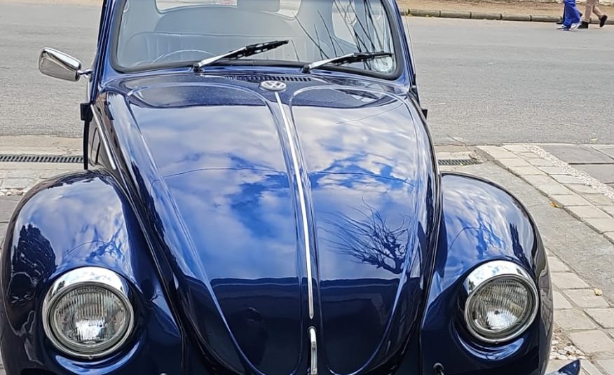 1976 Volkswagen Beetle 1600