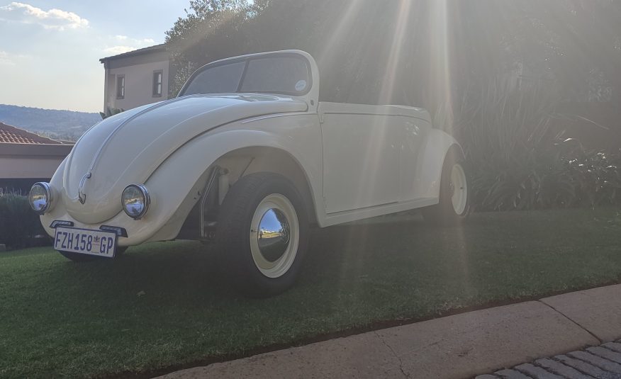 1973 Volkswagen Beetle