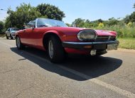 1982 Jaguar XJS V12