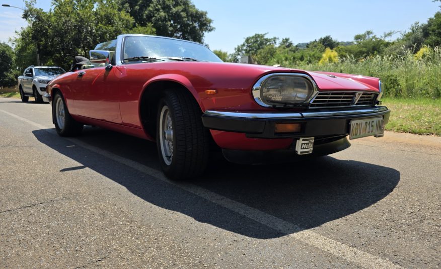 1982 Jaguar XJS V12