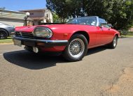 1982 Jaguar XJS V12