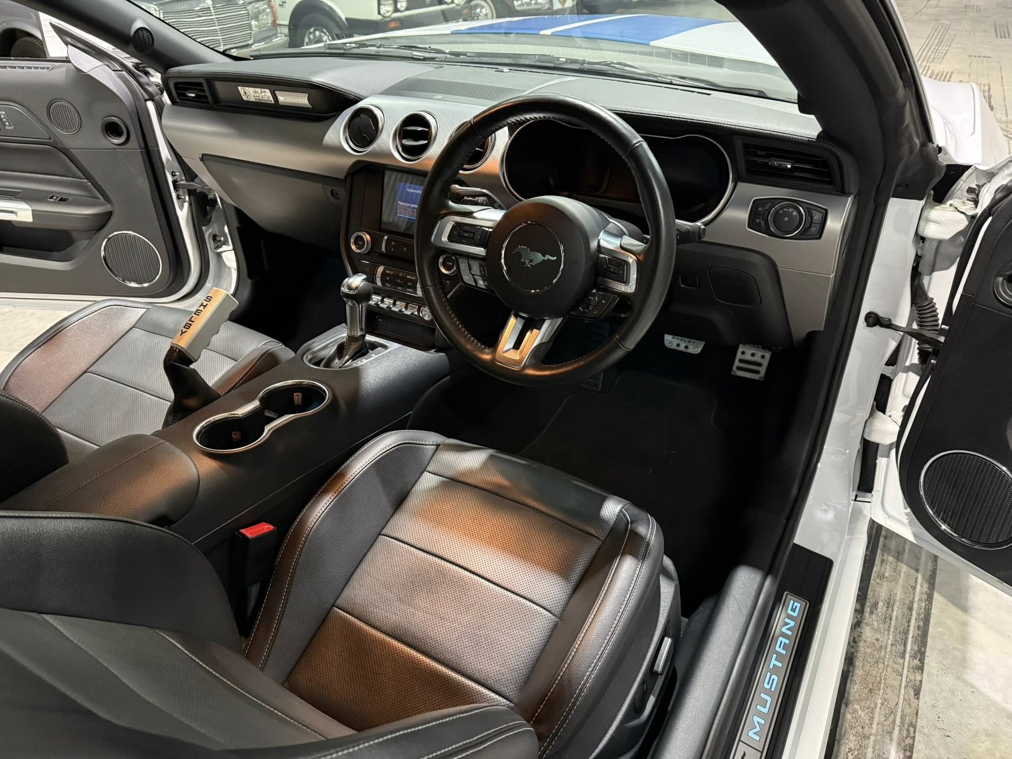 2023 Shelby GT (S550) – 1 of Only 5 in SA