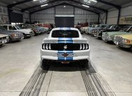 2023 Shelby GT (S550) – 1 of Only 5 in SA