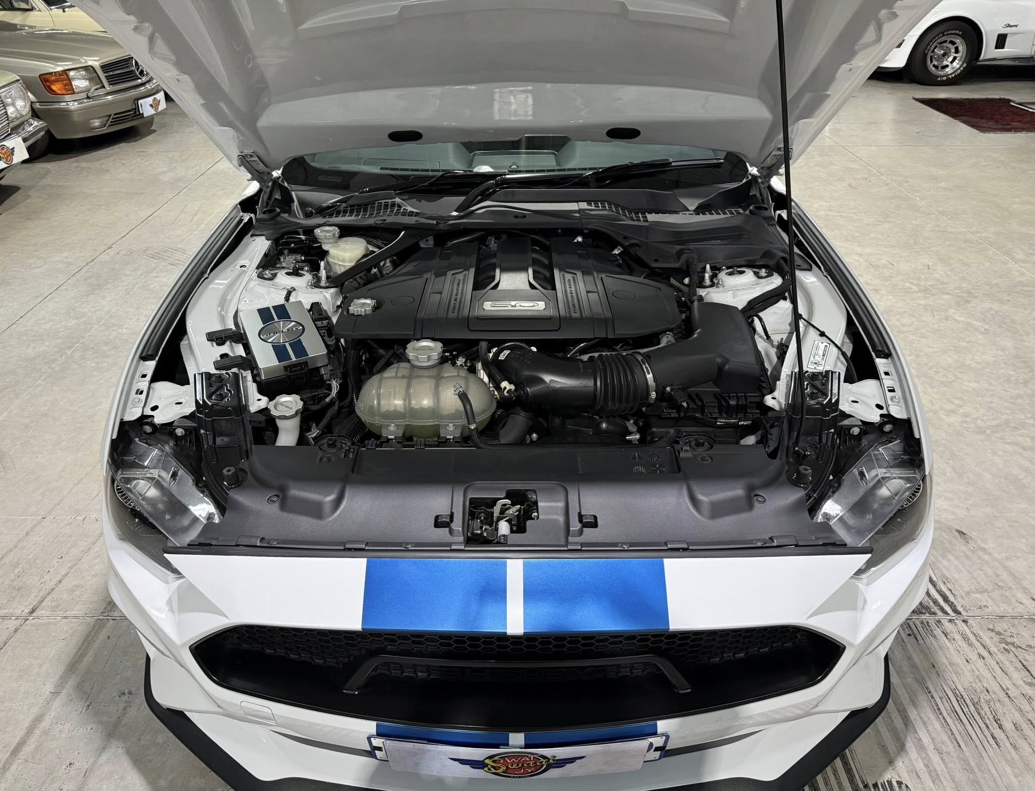 2023 Shelby GT (S550) – 1 of Only 5 in SA