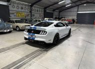 2023 Shelby GT (S550) – 1 of Only 5 in SA