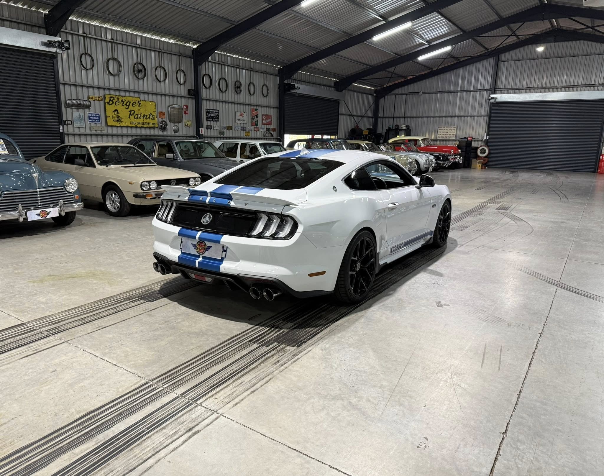 2023 Shelby GT (S550) – 1 of Only 5 in SA