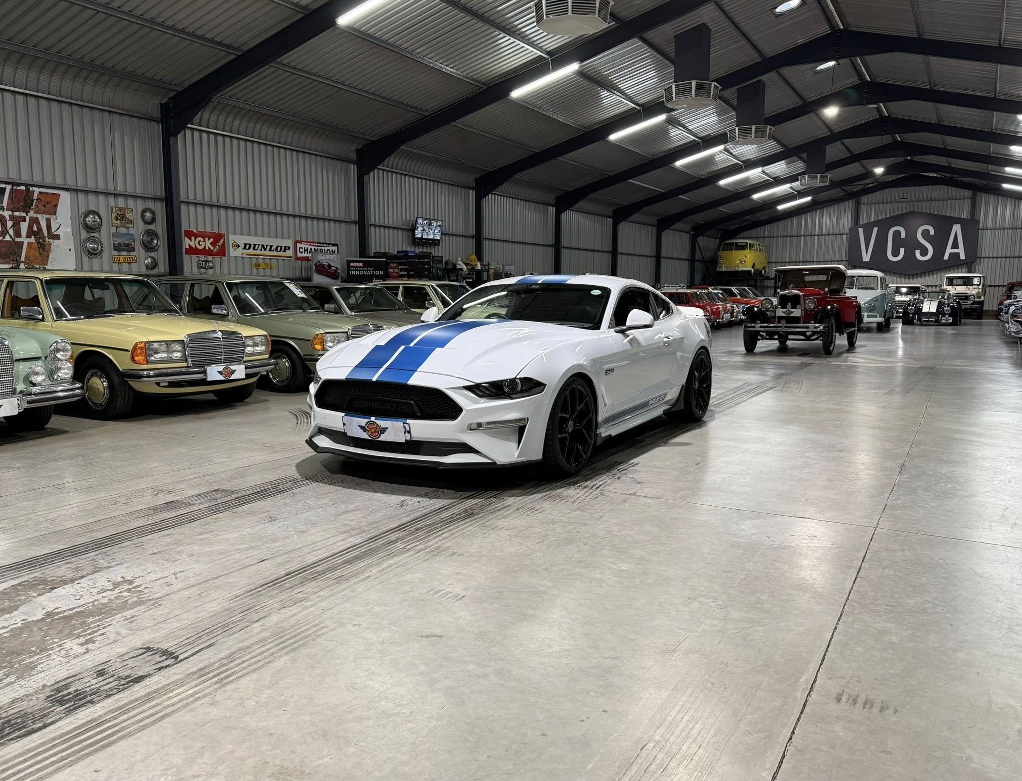 2023 Shelby GT (S550) – 1 of Only 5 in SA