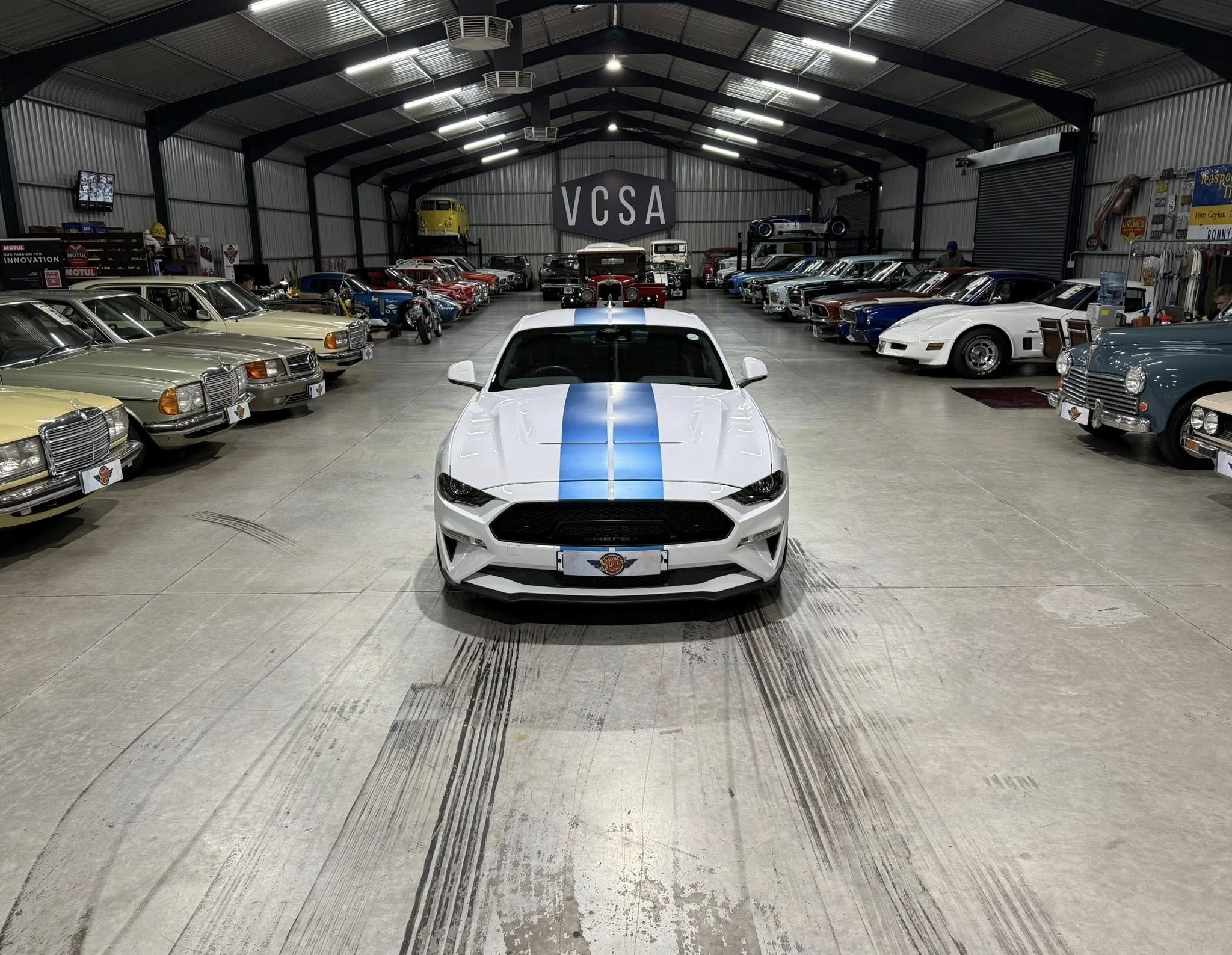 2023 Shelby GT (S550) – 1 of Only 5 in SA