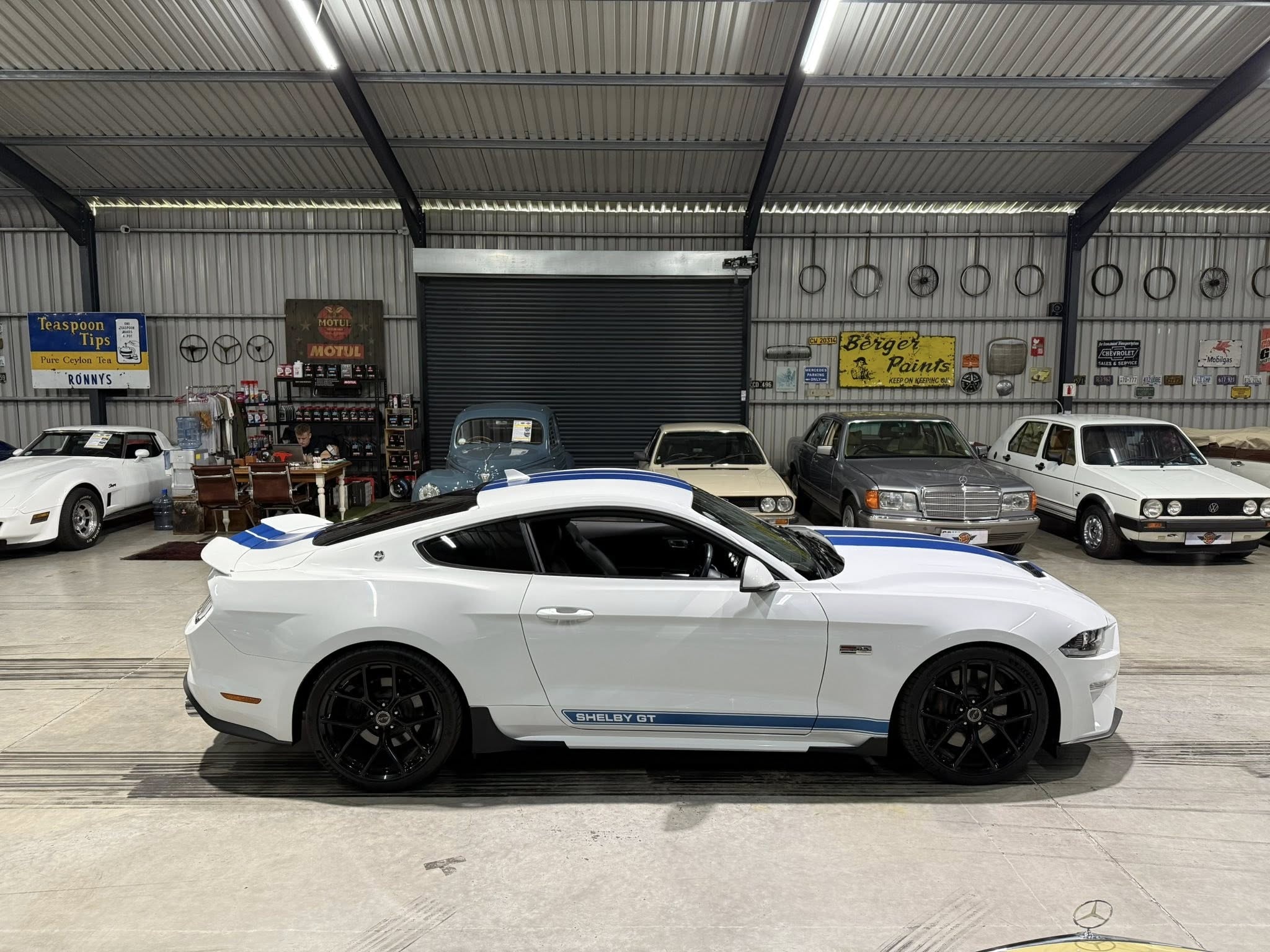 2023 Shelby GT (S550) – 1 of Only 5 in SA