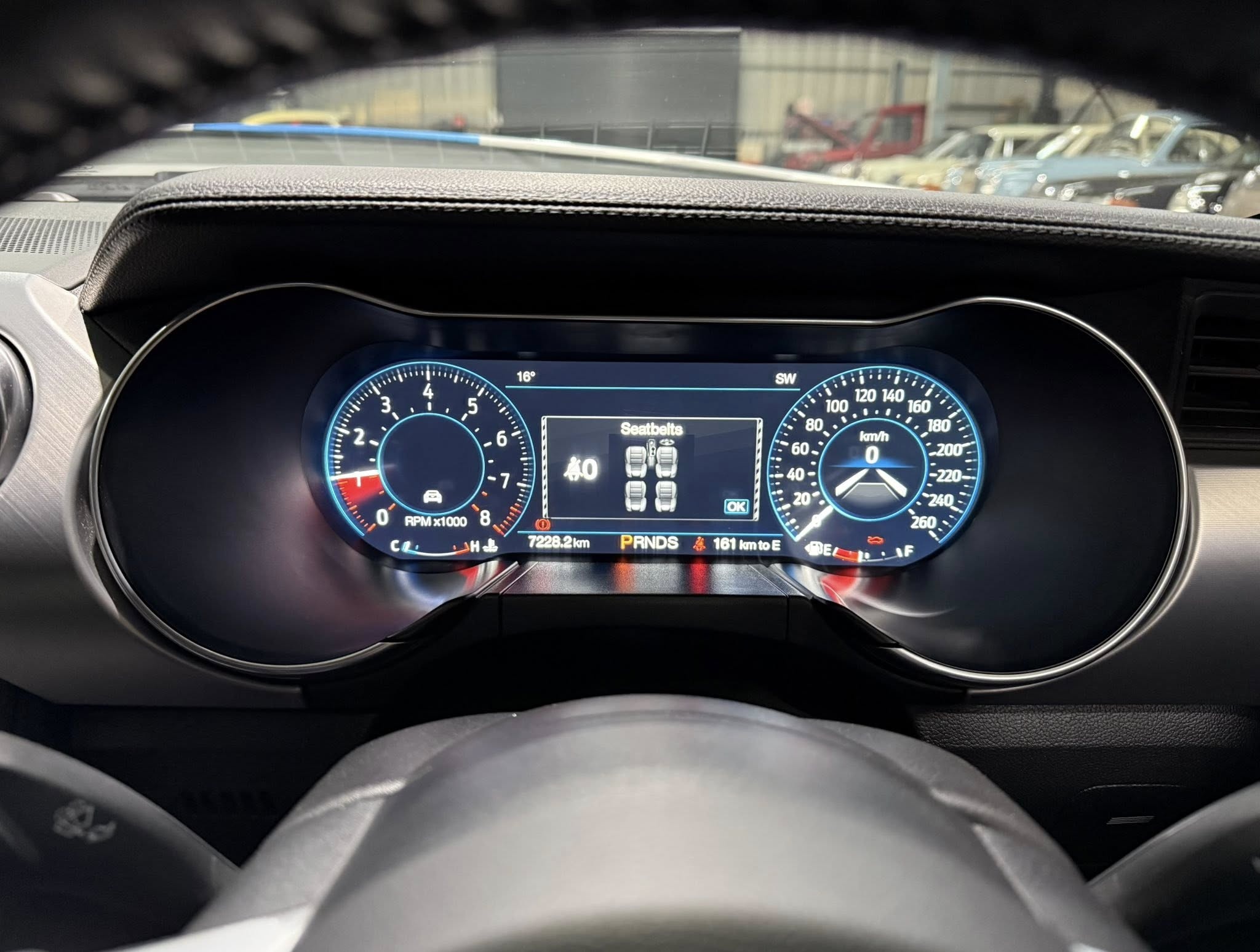 2023 Shelby GT (S550) – 1 of Only 5 in SA