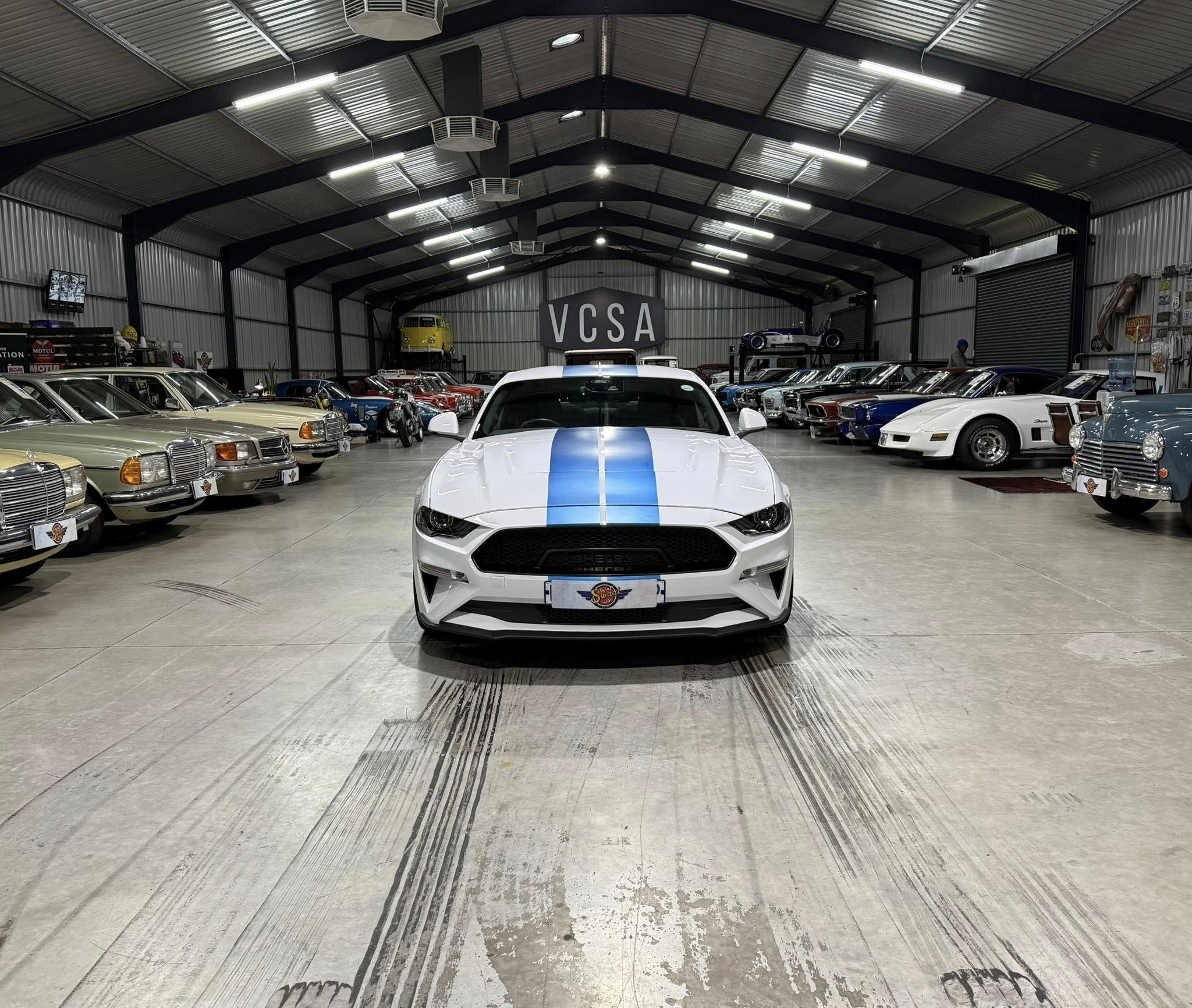 2023 Shelby GT (S550) – 1 of Only 5 in SA