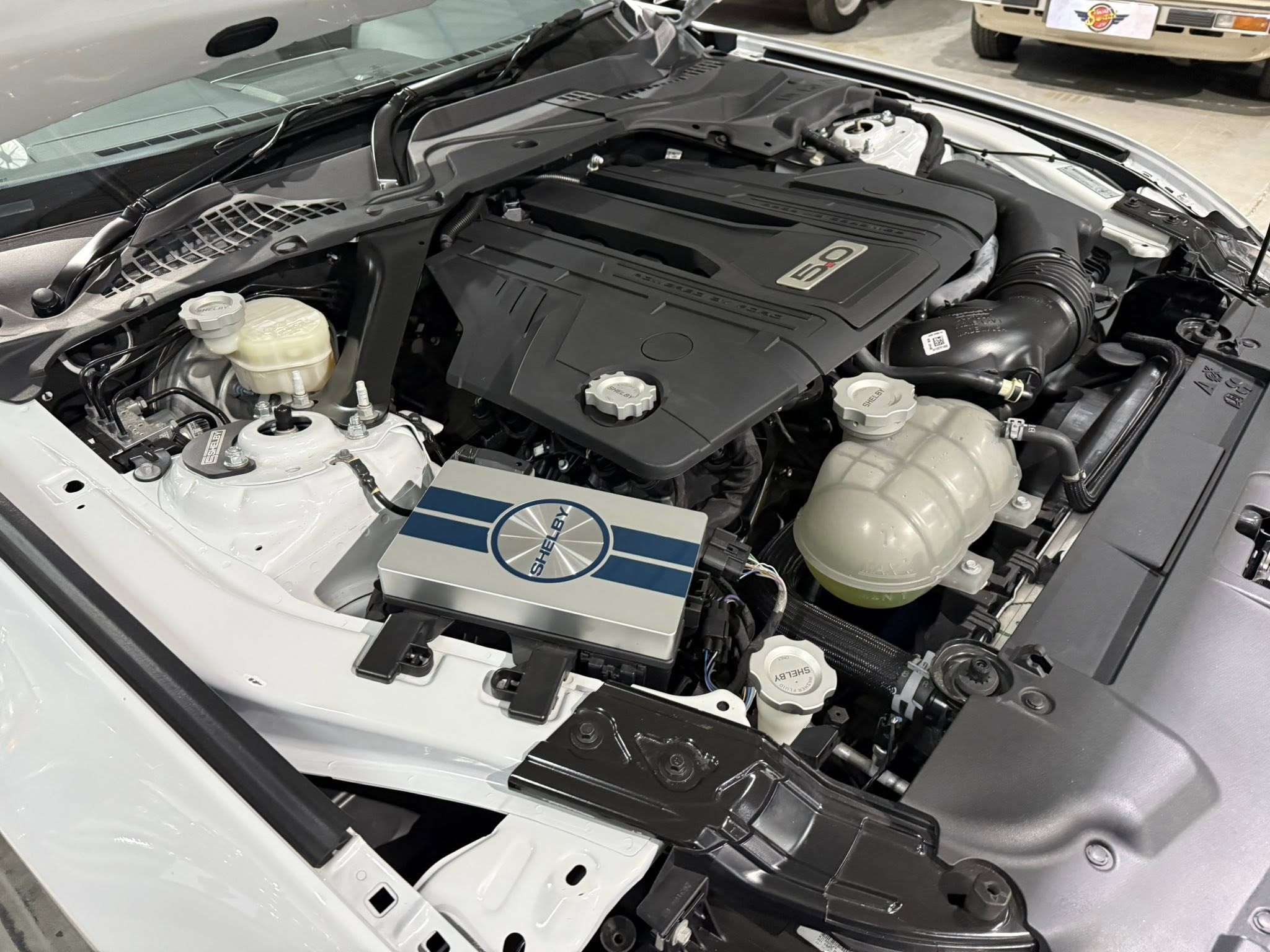 2023 Shelby GT (S550) – 1 of Only 5 in SA