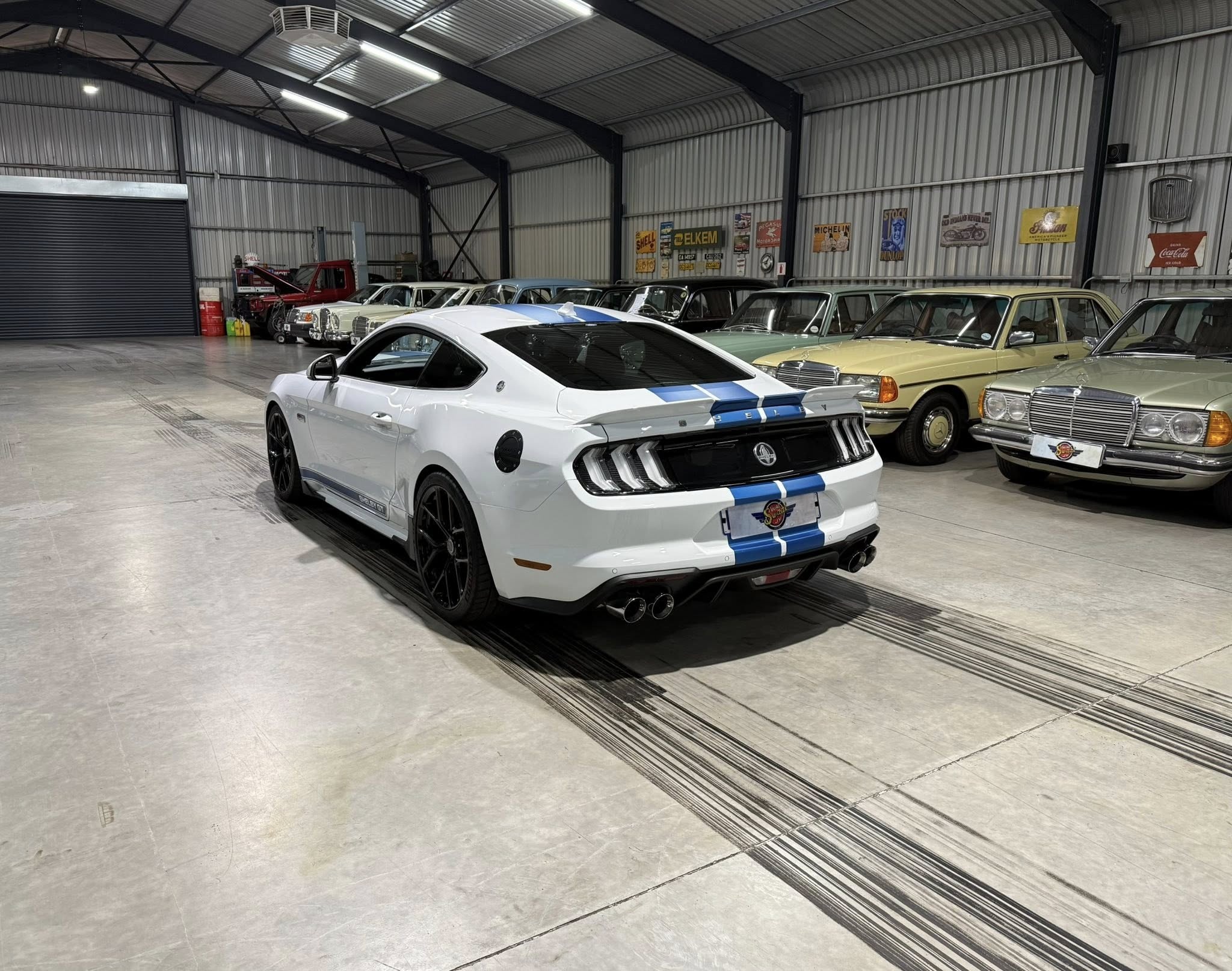 2023 Shelby GT (S550) – 1 of Only 5 in SA