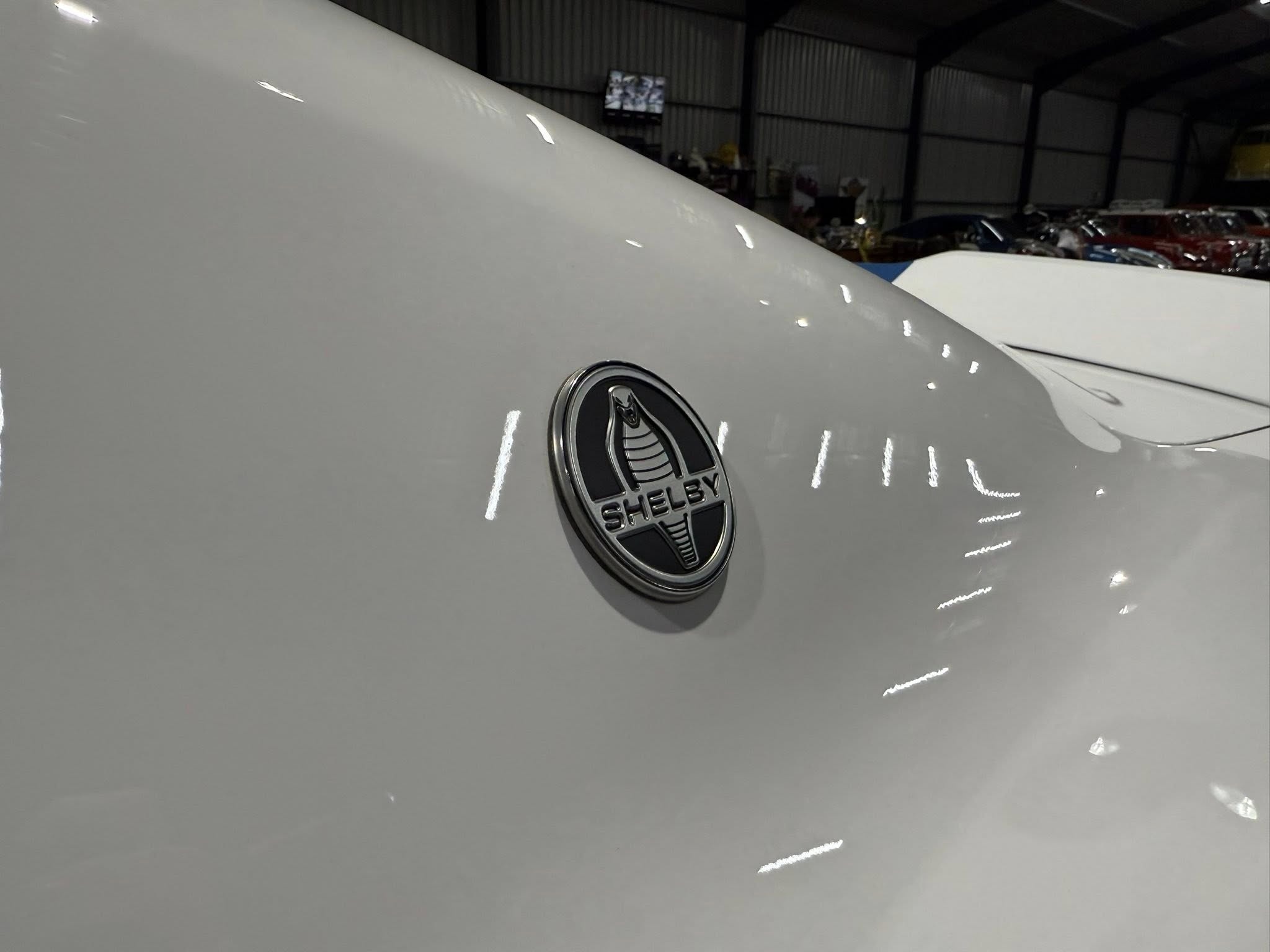 2023 Shelby GT (S550) – 1 of Only 5 in SA