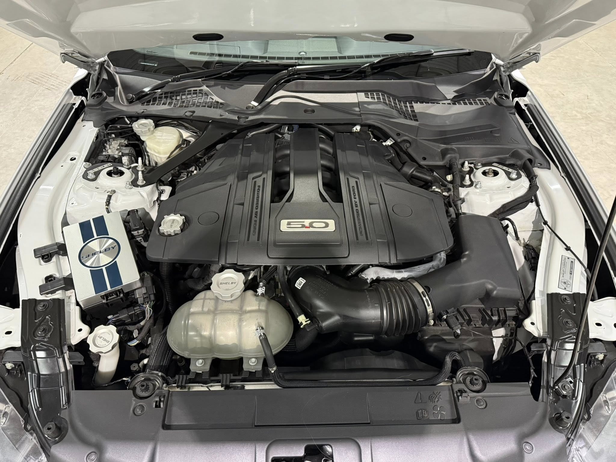 2023 Shelby GT (S550) – 1 of Only 5 in SA