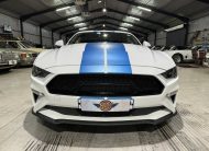 2023 Shelby GT (S550) – 1 of Only 5 in SA