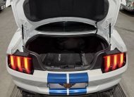 2023 Shelby GT (S550) – 1 of Only 5 in SA