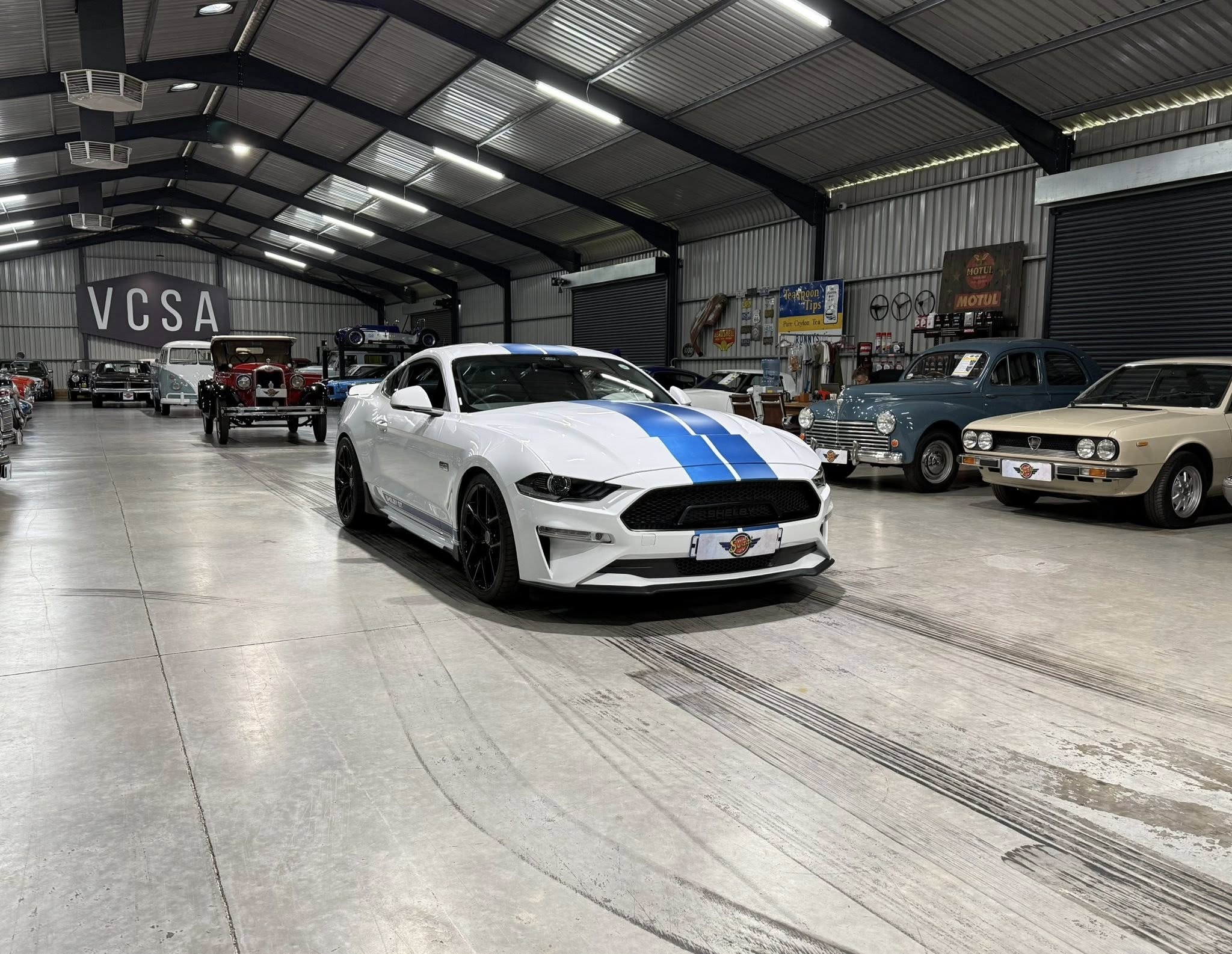 2023 Shelby GT (S550) – 1 of Only 5 in SA
