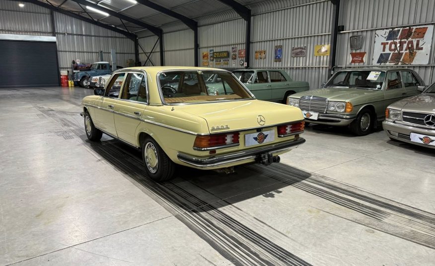 1980 Mercedes-Benz W123 280E