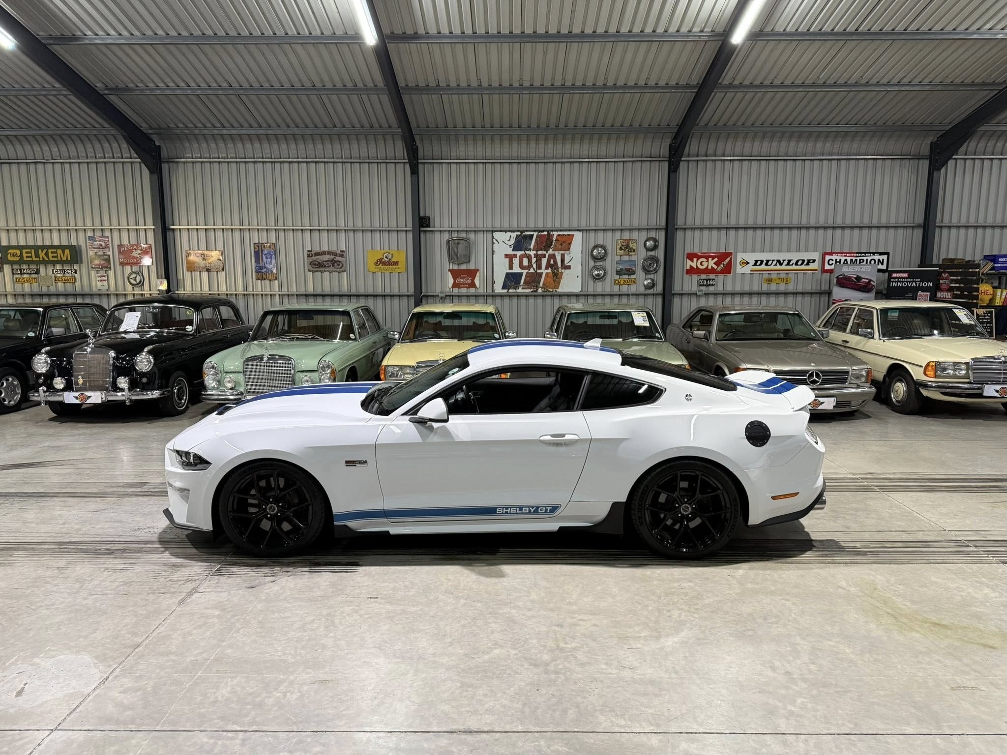 2023 Shelby GT (S550) – 1 of Only 5 in SA
