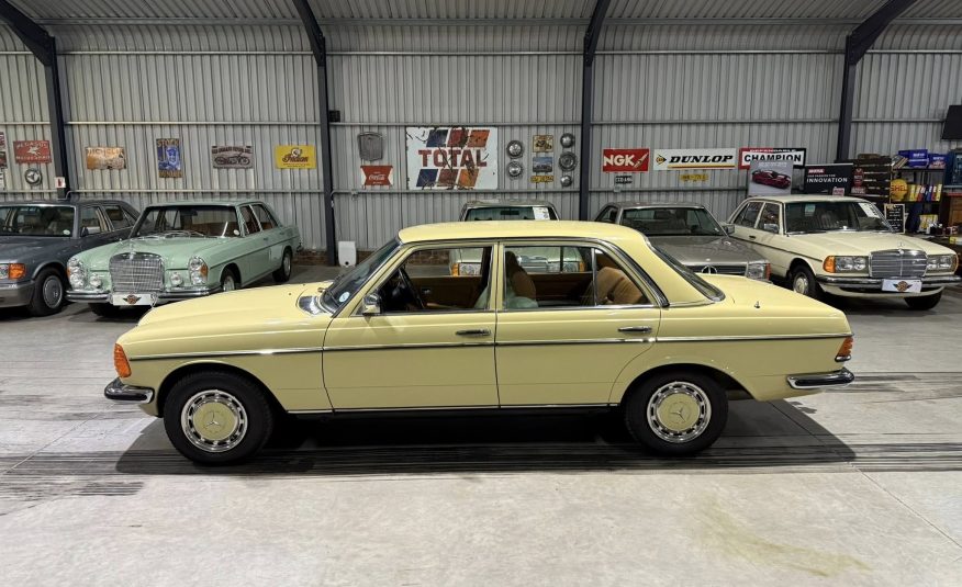 1980 Mercedes-Benz W123 280E