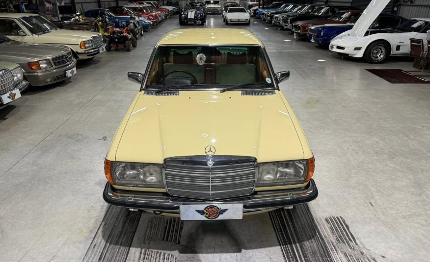 1980 Mercedes-Benz W123 280E