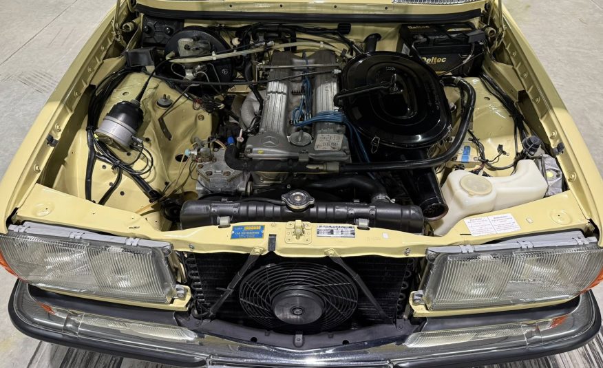 1980 Mercedes-Benz W123 280E
