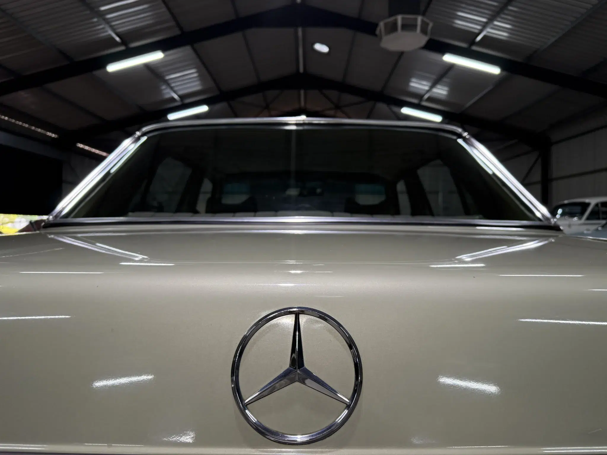 1979 Mercedes-Benz 230 (W123)