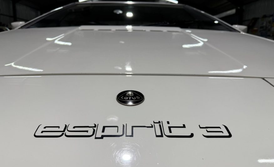 1983 Lotus Esprit Series 3