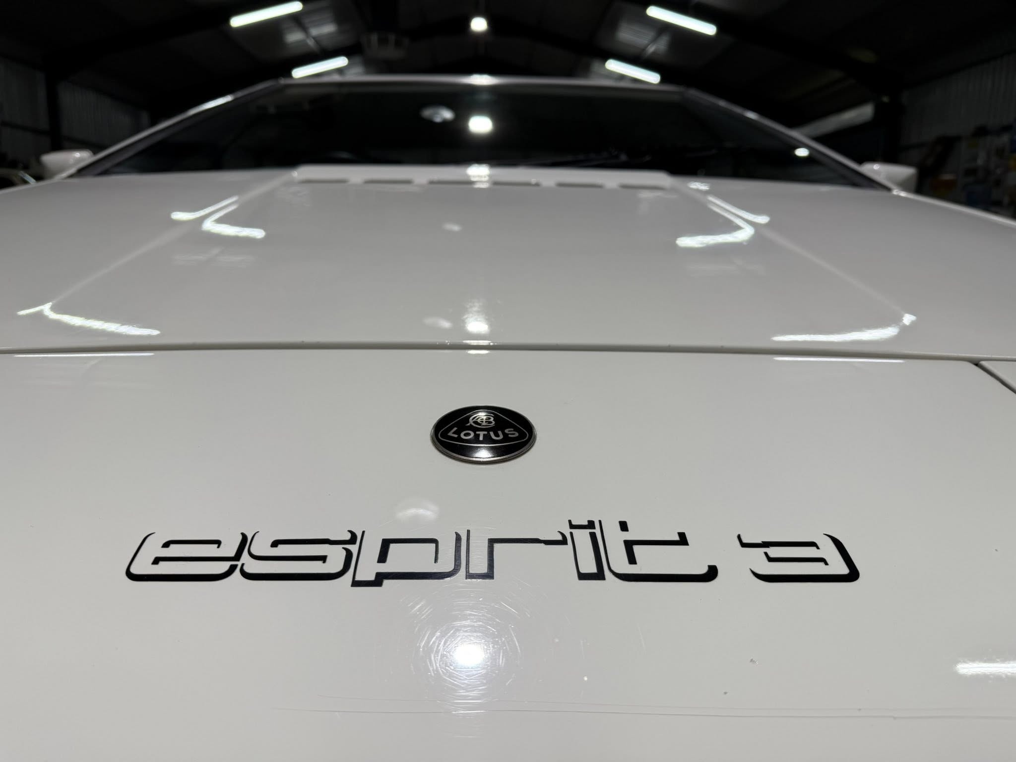1983 Lotus Esprit Series 3