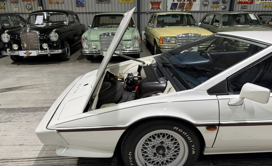 1983 Lotus Esprit Series 3