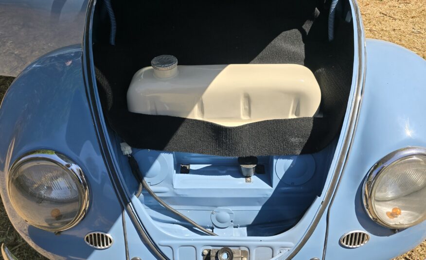 1956 Volkswagen Oval Beetle