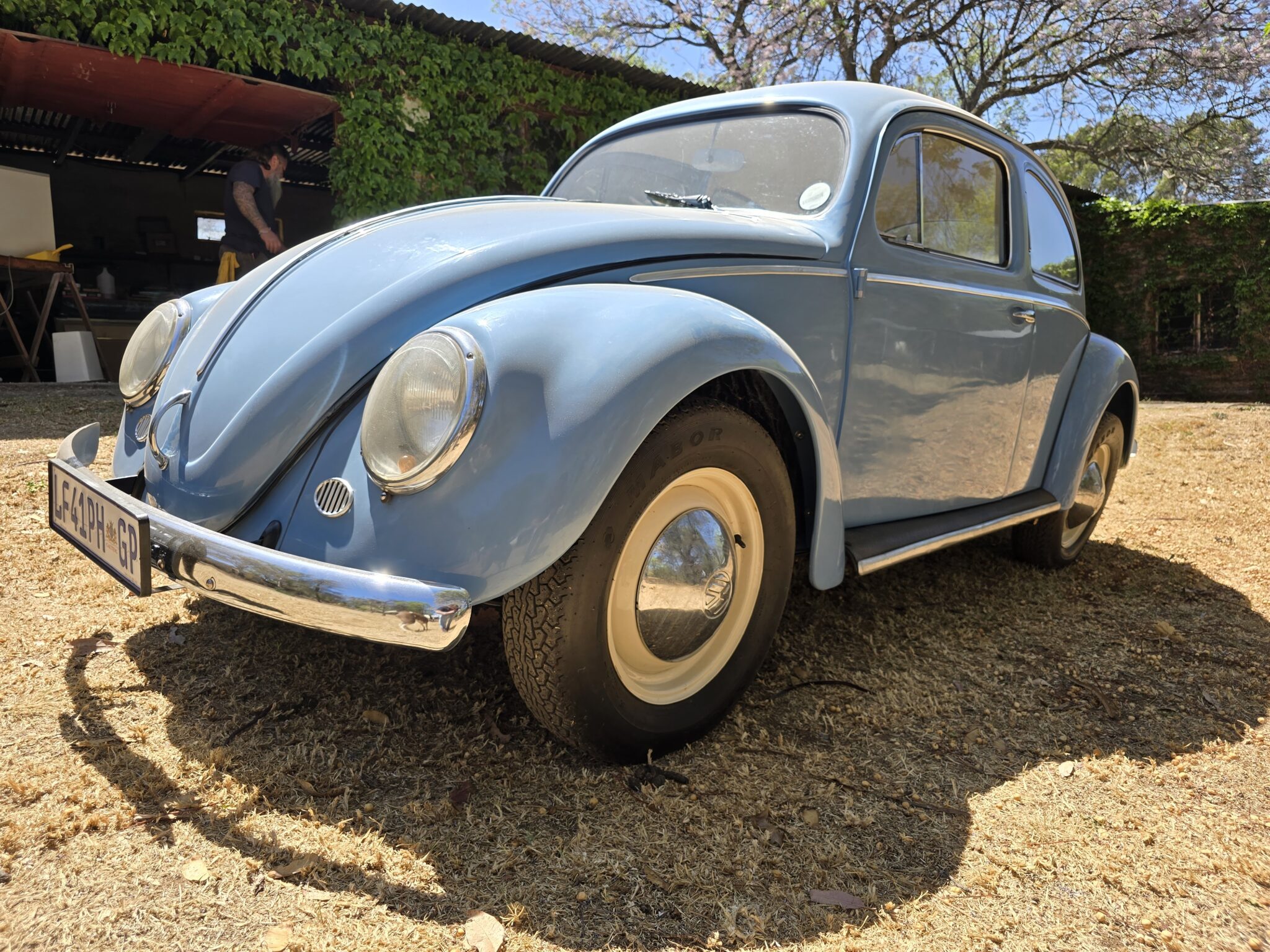 1956 Volkswagen Oval Beetle