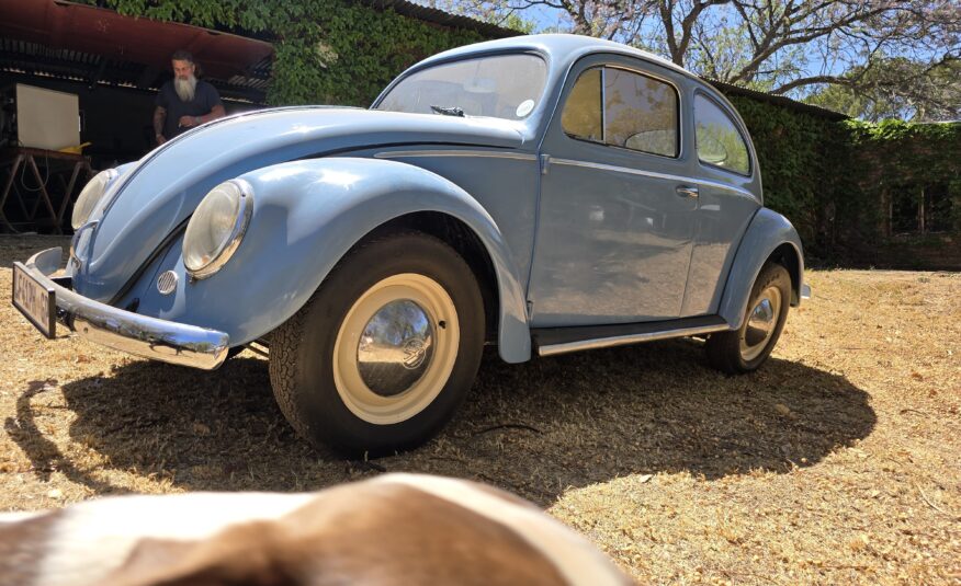 1956 Volkswagen Oval Beetle