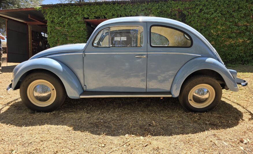 1956 Volkswagen Oval Beetle
