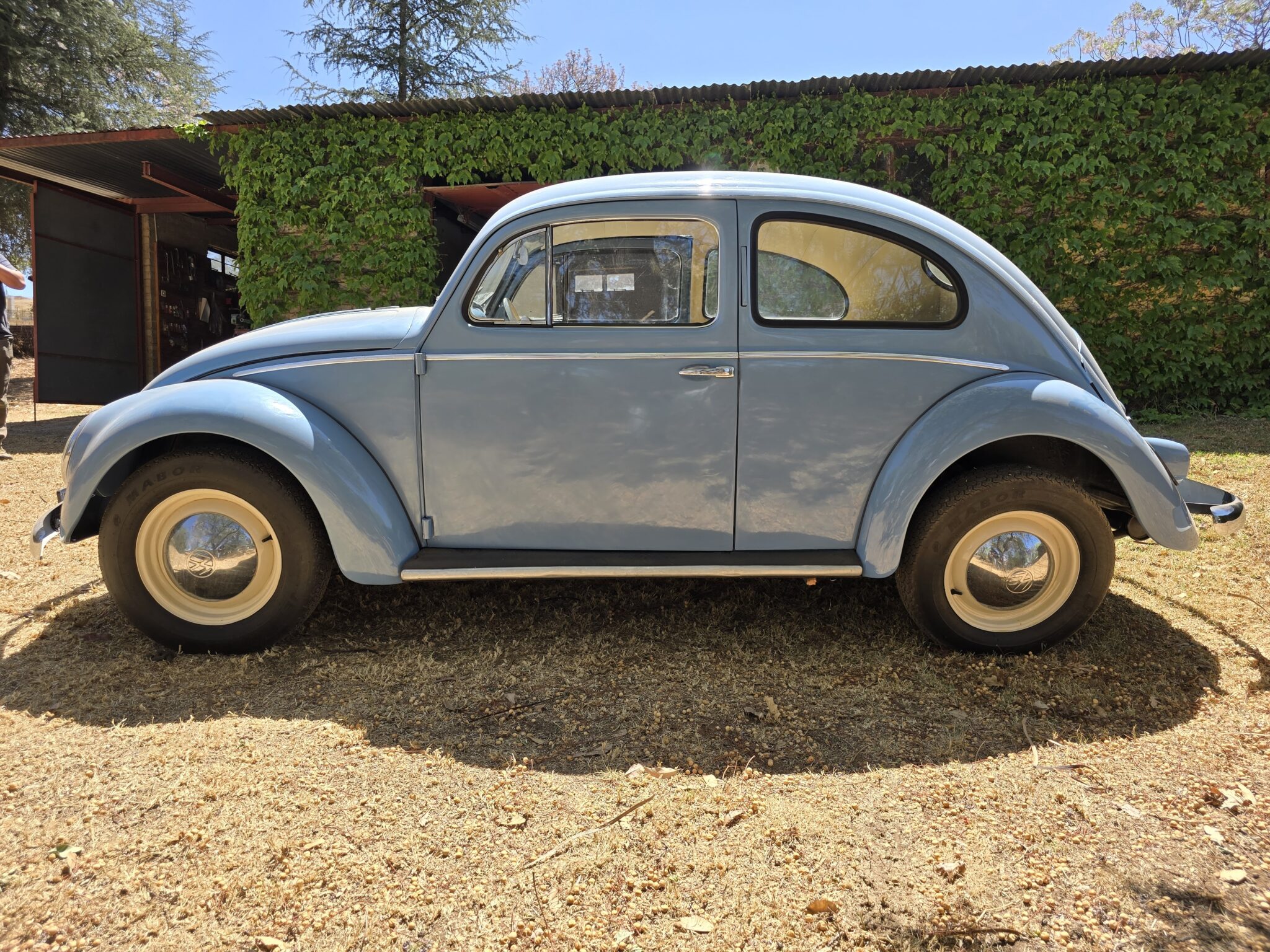 1956 Volkswagen Oval Beetle