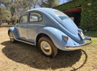 1956 Volkswagen Oval Beetle