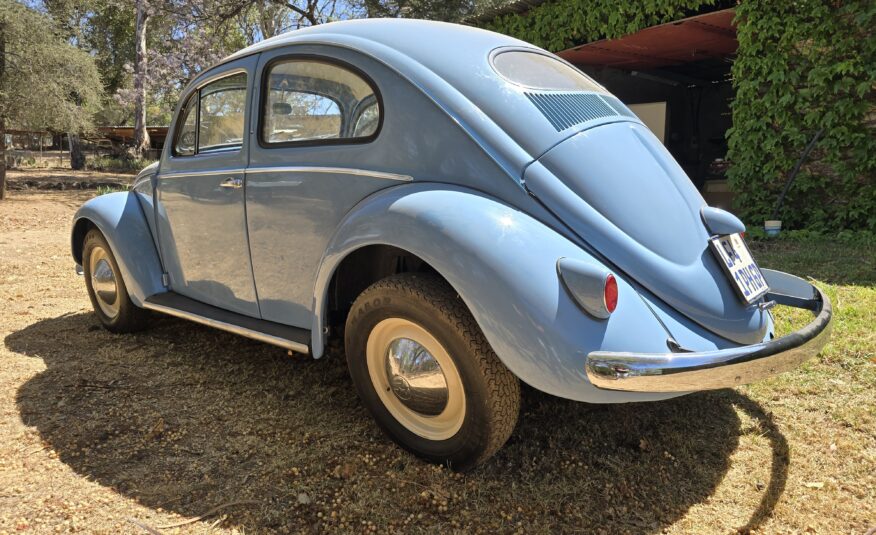 1956 Volkswagen Oval Beetle