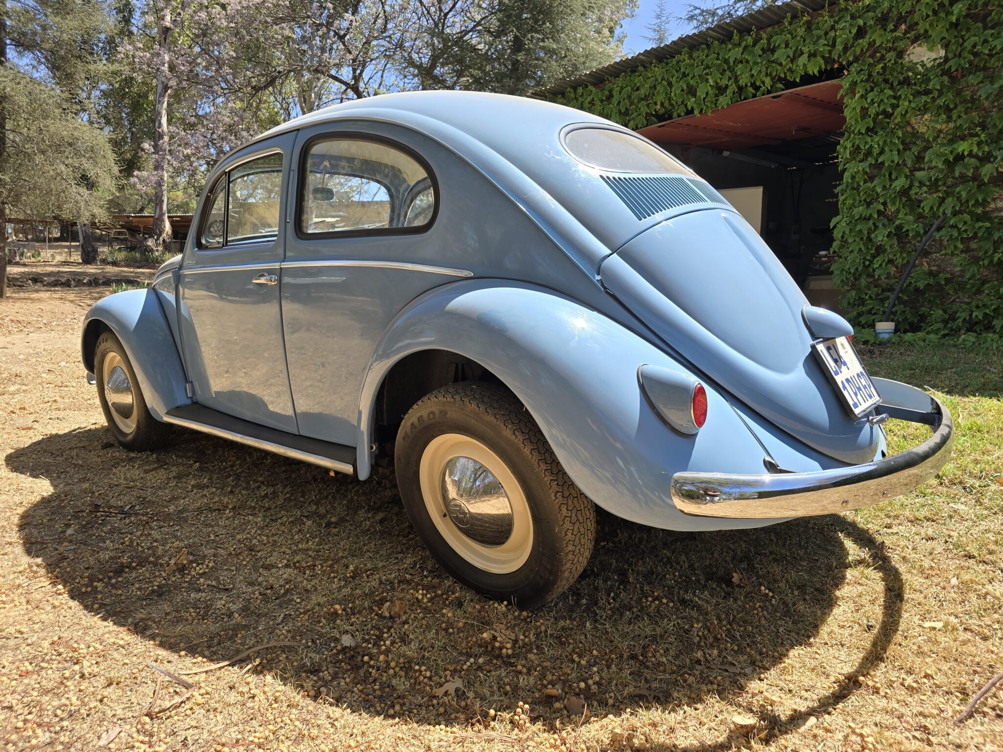 1956 Volkswagen Oval Beetle