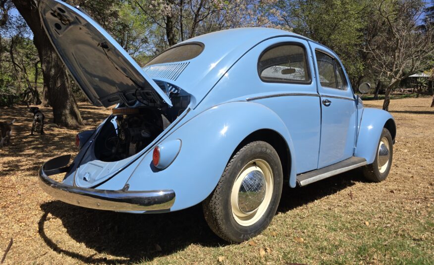 1956 Volkswagen Oval Beetle