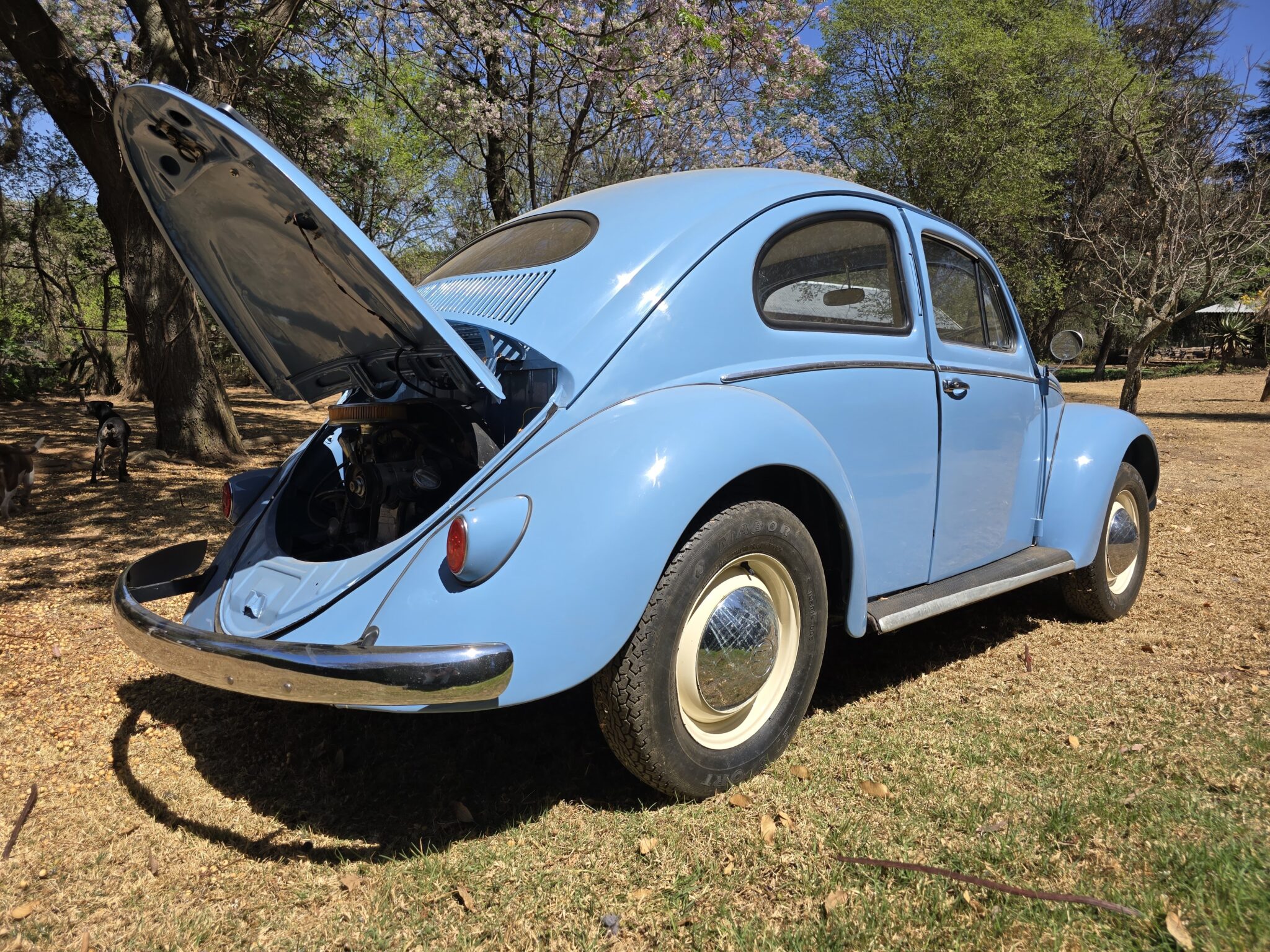 1956 Volkswagen Oval Beetle