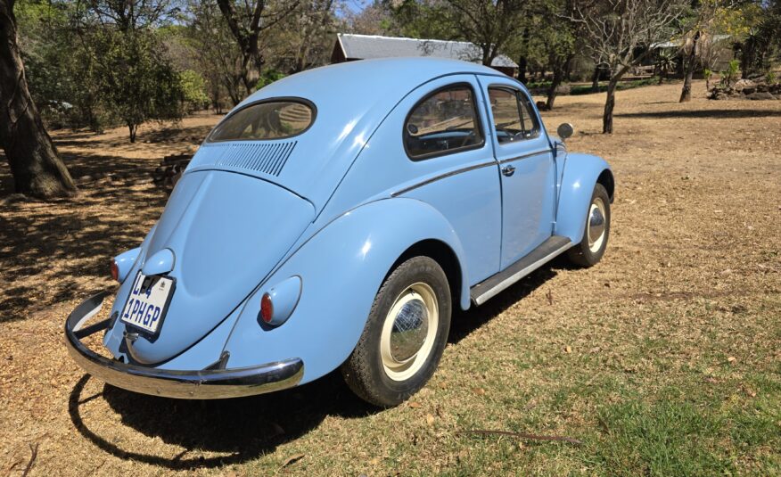 1956 Volkswagen Oval Beetle