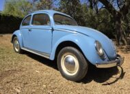 1956 Volkswagen Oval Beetle