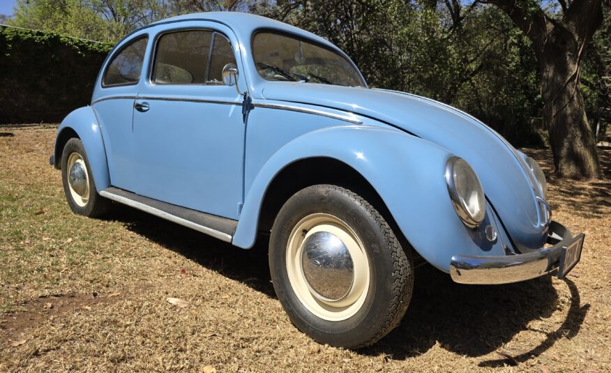 1956 Volkswagen Oval Beetle