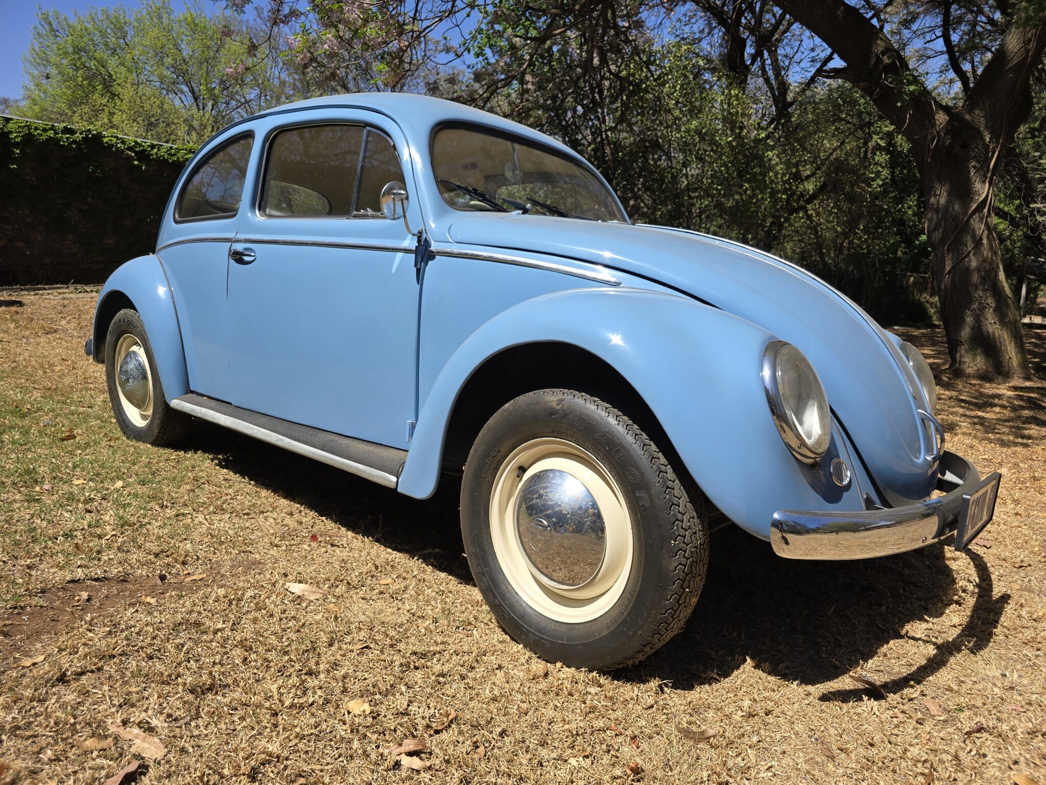1956 Volkswagen Oval Beetle