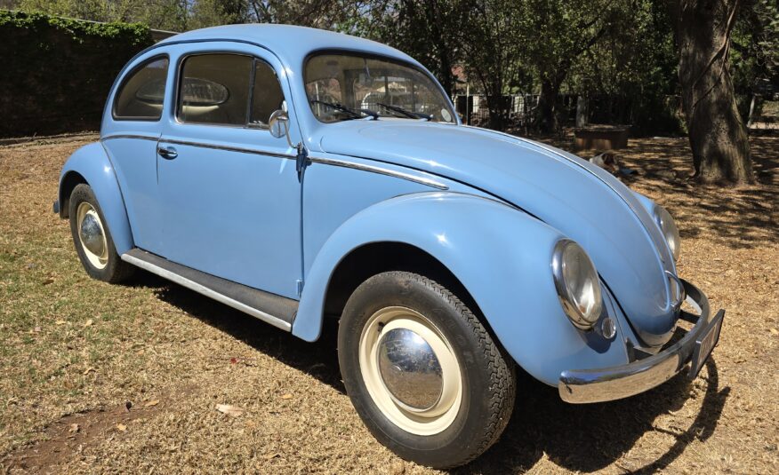 1956 Volkswagen Oval Beetle