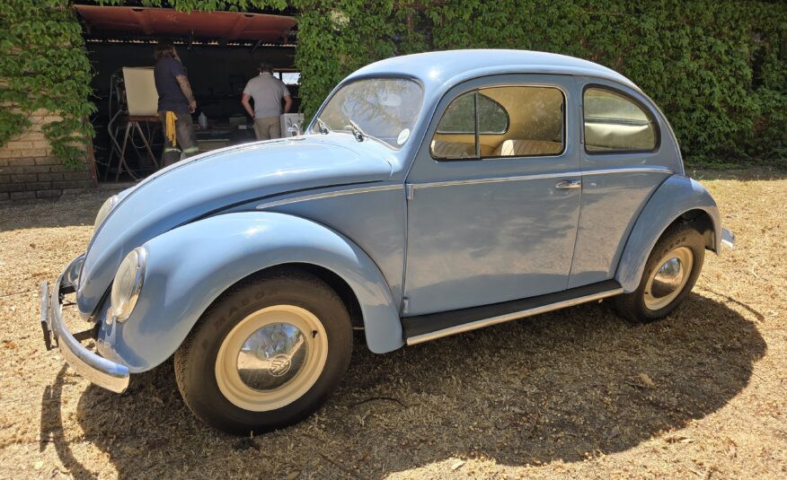 1956 Volkswagen Oval Beetle