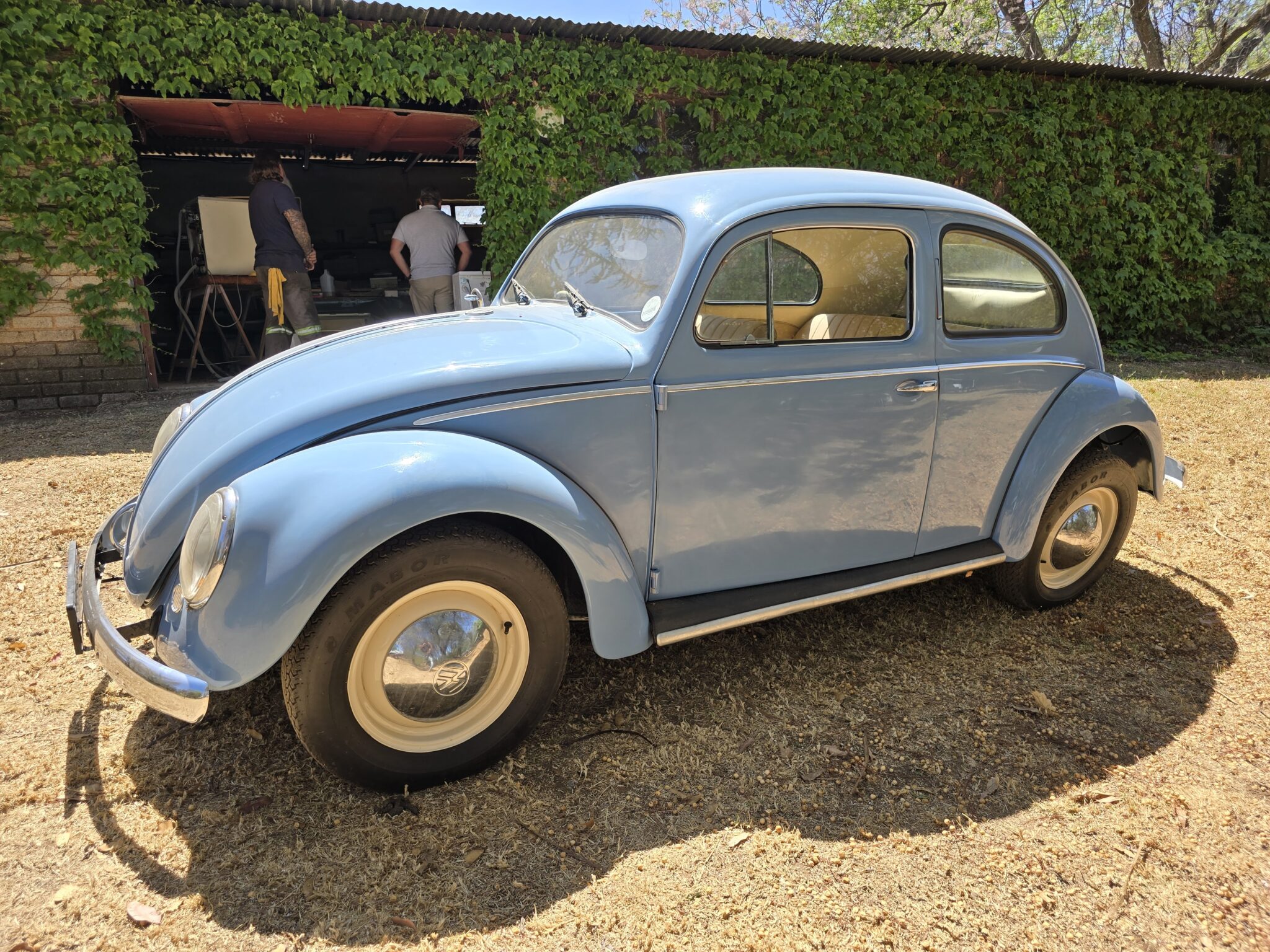 1956 Volkswagen Oval Beetle