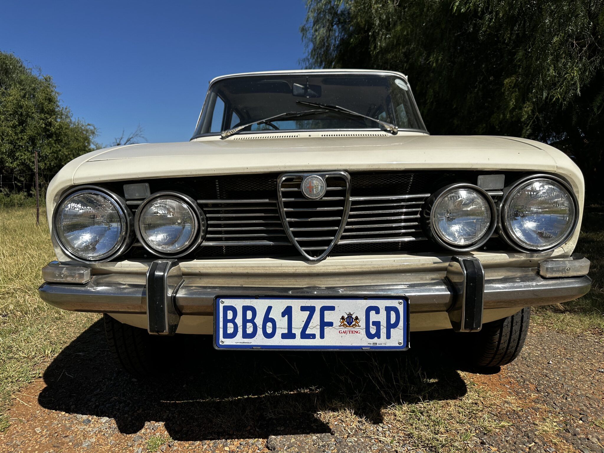 1969 Alfa Romeo Berlina 1750