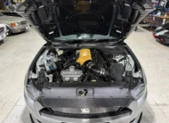 2017 Shelby Terlingua – 800HP Limited Edition